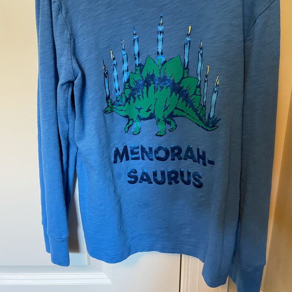 Boys Crewcuts Menorah-Sauras Long Sleeve T-Shirt-8